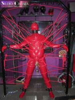 bdsm bondage frame